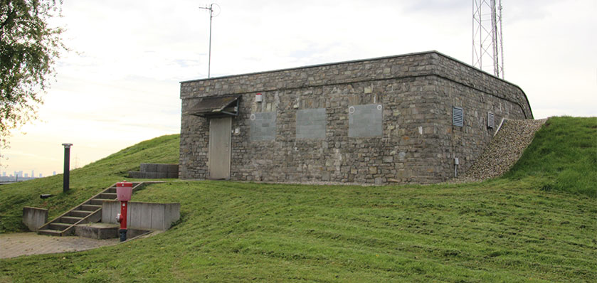 Slide Image