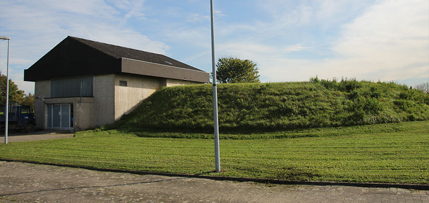 Slide Image
